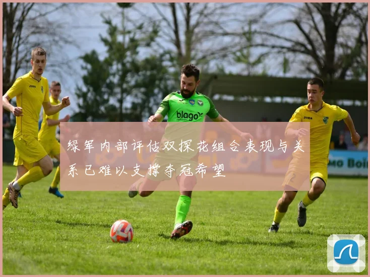 绿军内部评估双探花组合表现与关系已难以支撑夺冠希望